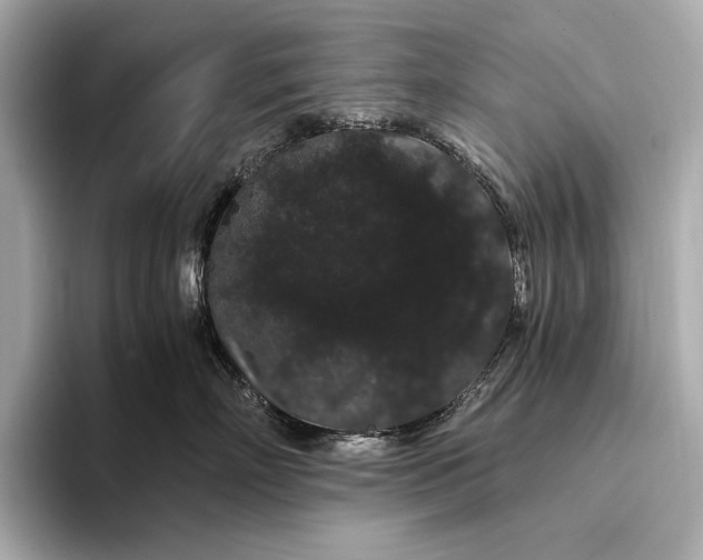 X0000093410718200710260938