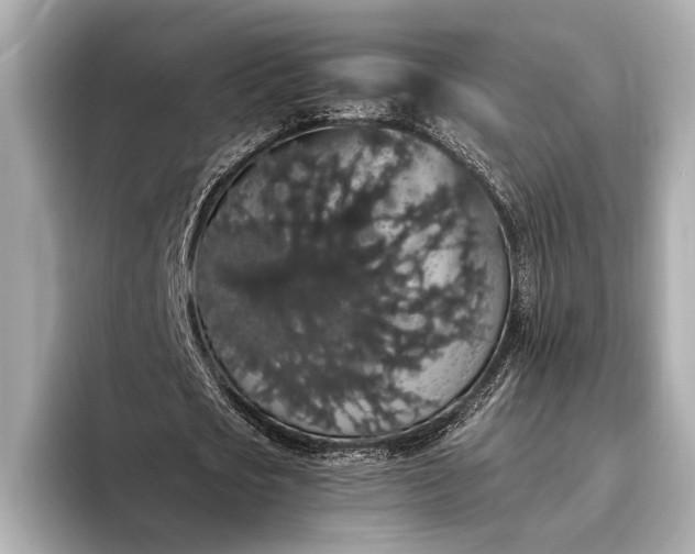 X0000093410721200710260937