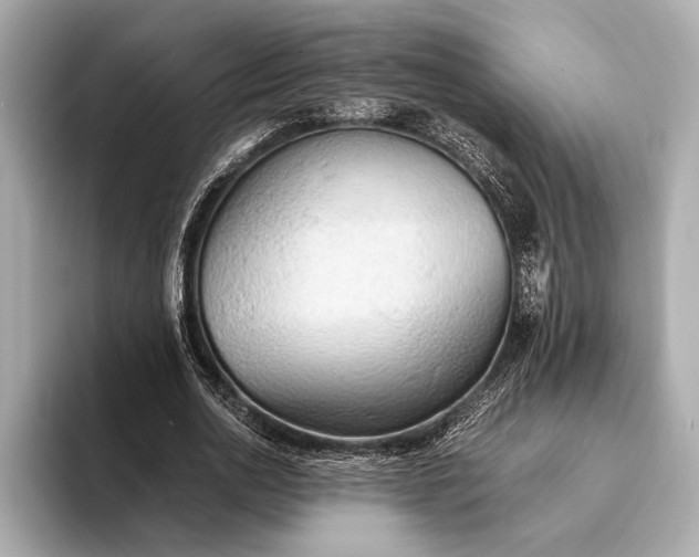 X0000093410726200710260937