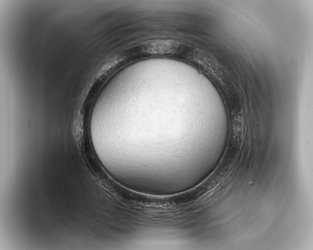 X0000093410727200710260937