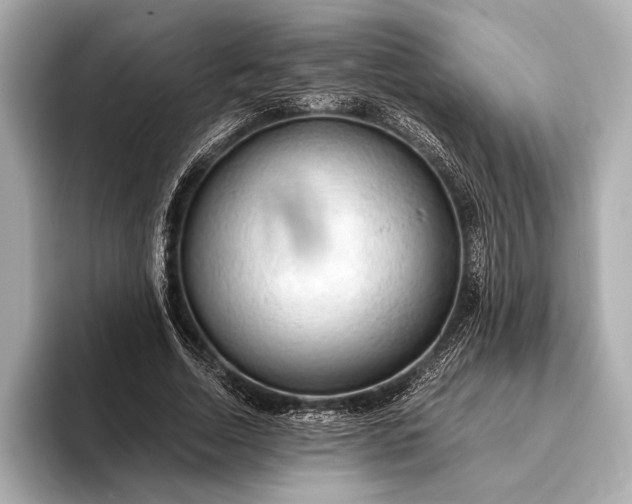 X0000093410730200710260937