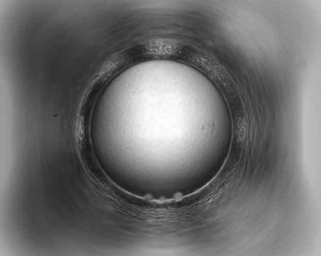 X0000093410731200710260937