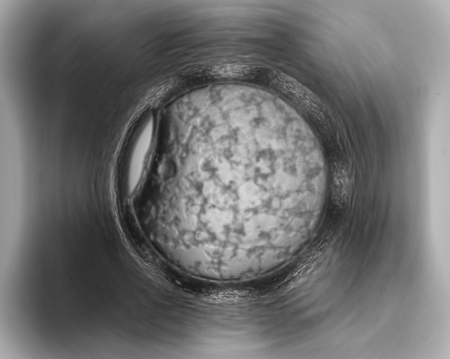 X0000093410734200710260937