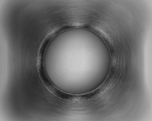 X0000093410736200710260937