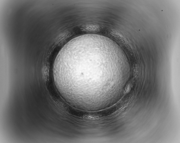 X0000093410739200710260937