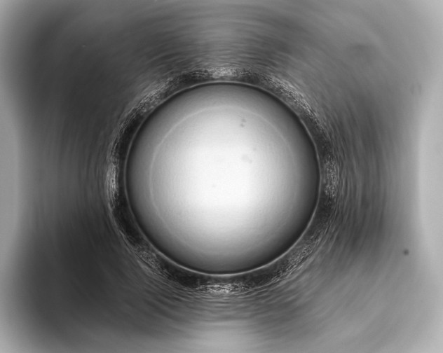 X0000093410740200710260937