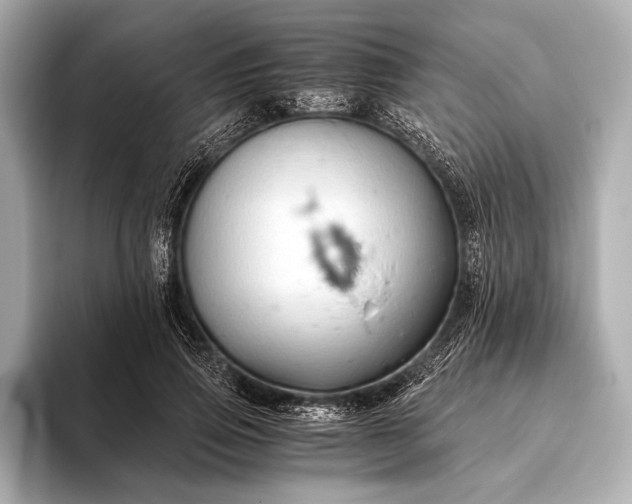 X0000093410741200710260937