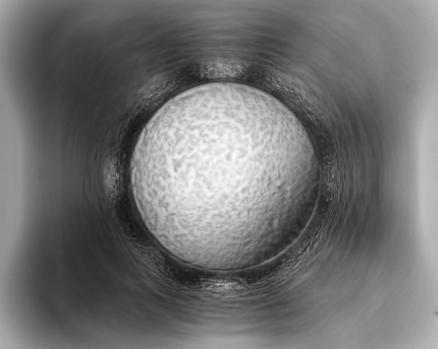 X0000093410743200710260937