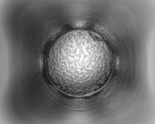 X0000093410746200710260937