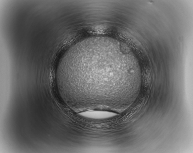 X0000093410747200710260937