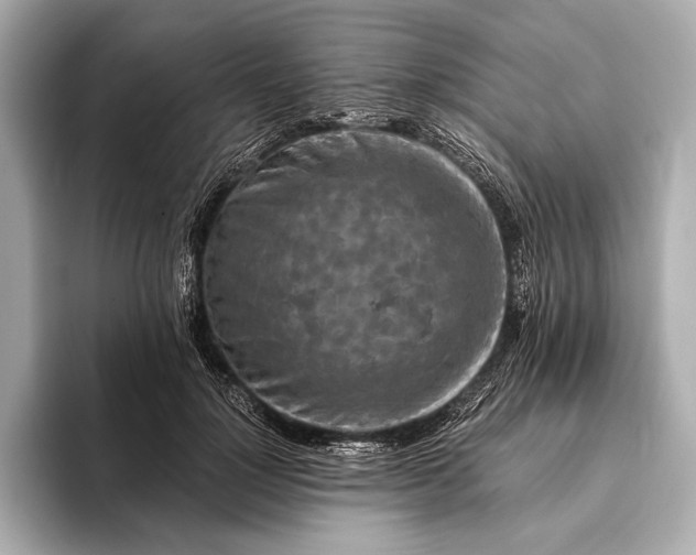 X0000093410748200710260937