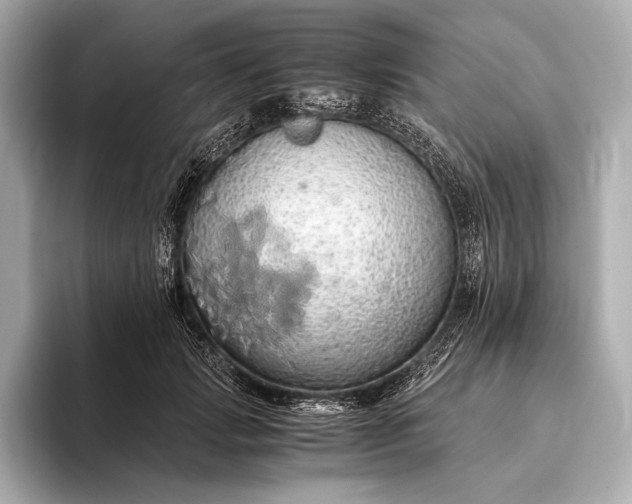 X0000093410749200710260937