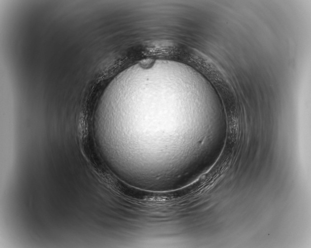 X0000093410751200710260937