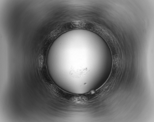 X0000093410752200710260937