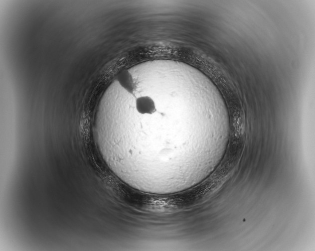 X0000093410753200710260937