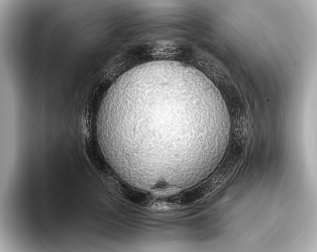 X0000093410755200710260937