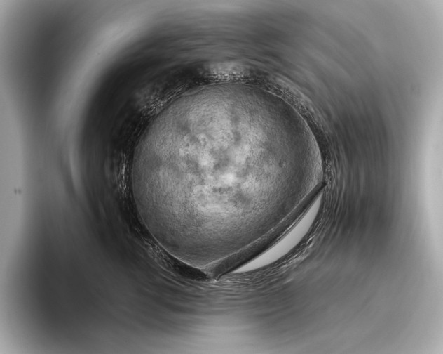 X0000093410762200710260937