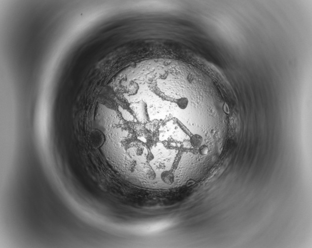 X0000093410765200710260937