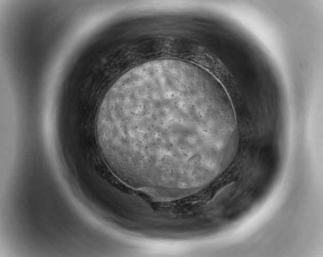 X0000093410766200710260937