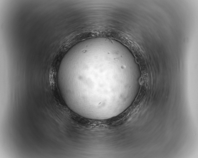 X0000093410770200710260937