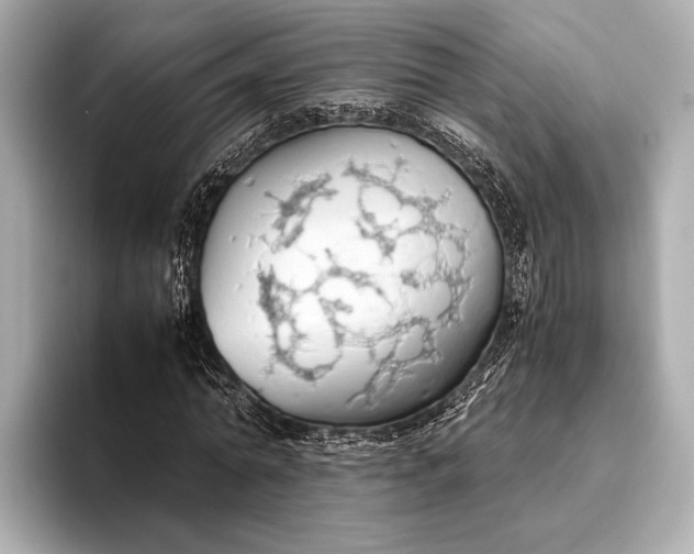 X0000093410774200710260937