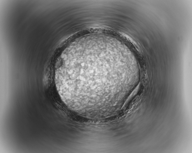 X0000093410775200710260937