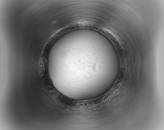 X0000093410776200710260937