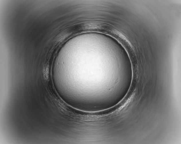 X0000093410777200710260937