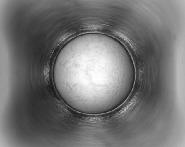 X0000093410778200710260937