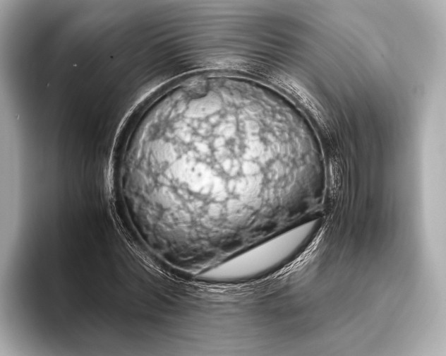 X0000093410780200710260937