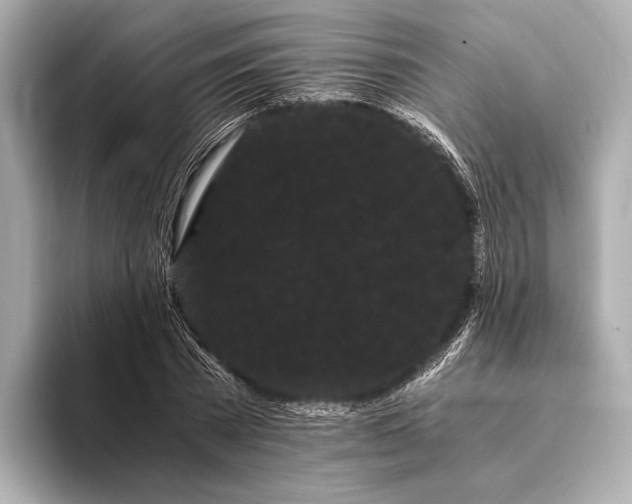 X0000093410785200710260937