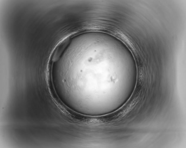 X0000093410787200710260937