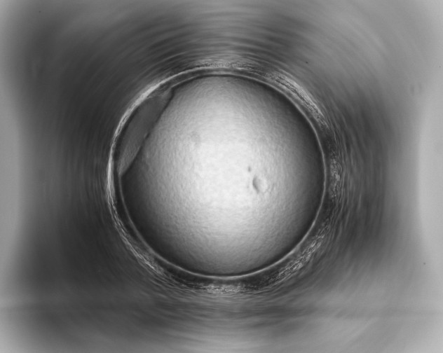 X0000093410788200710260937