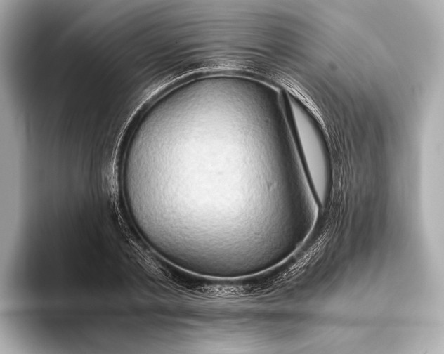 X0000093410789200710260937