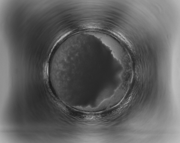 X0000093410790200710260937