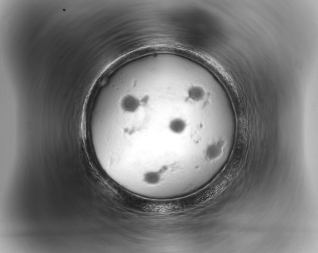 X0000093410791200710260937