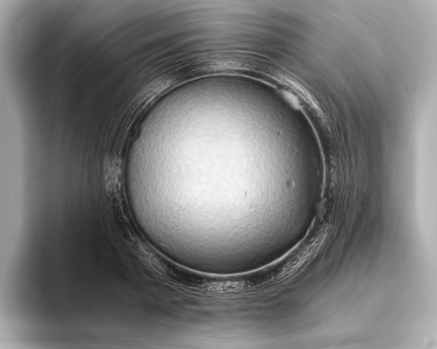 X0000093410793200710260937