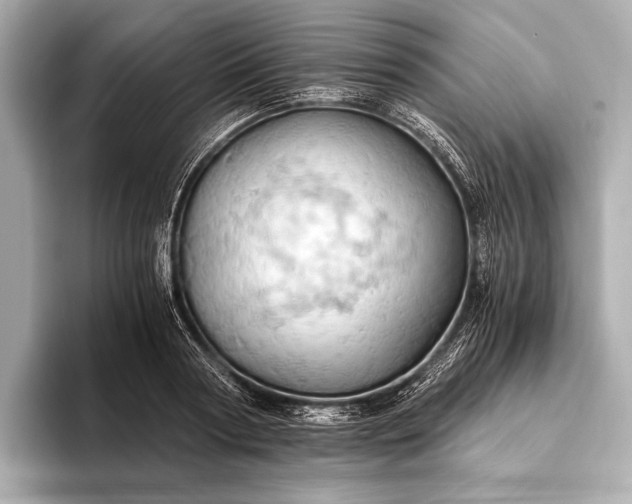 X0000093410794200710260937