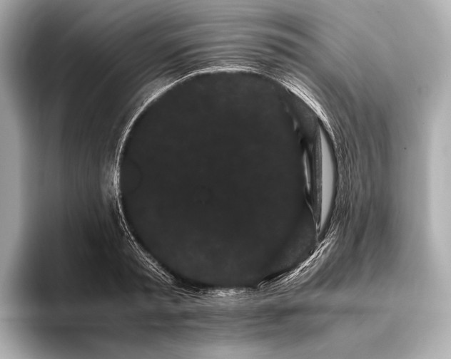 X0000093410797200710260936