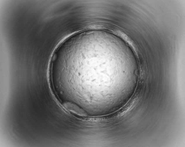 X0000093410803200710260936