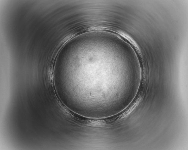 X0000093410809200710260936