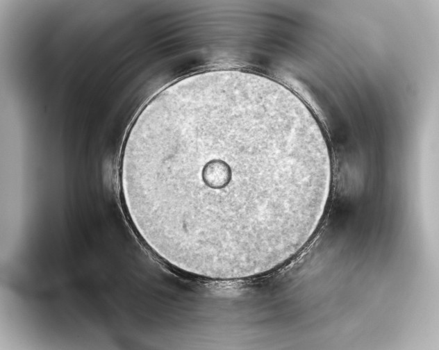 X0000093410810200710260936