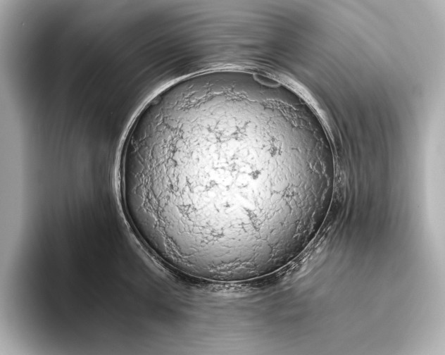 X0000093410811200710260936