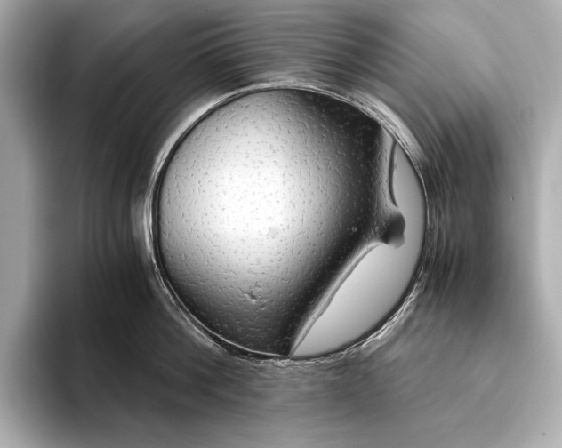 X0000093410812200710260936