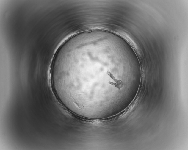 X0000093410814200710260936