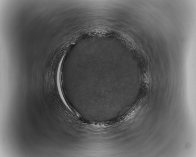 X0000093410818200710260936