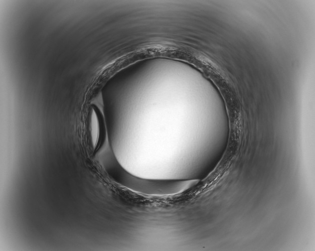 X0000093410822200710260936