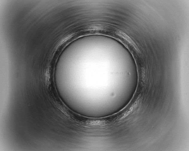 X0000093410826200710260936