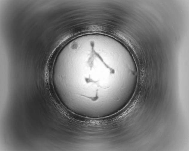 X0000093410827200710260936