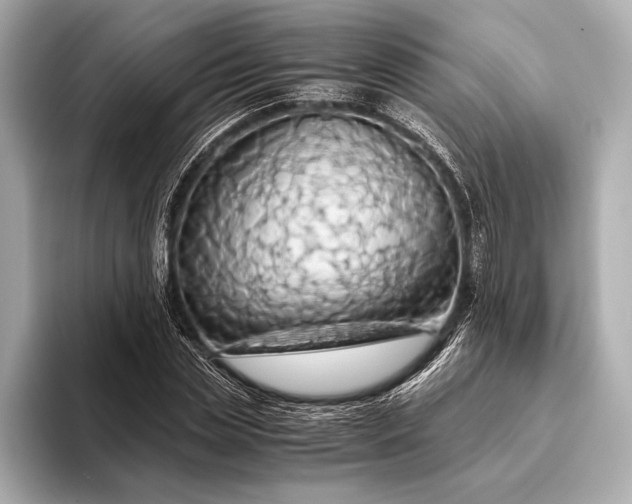 X0000093410829200710260936